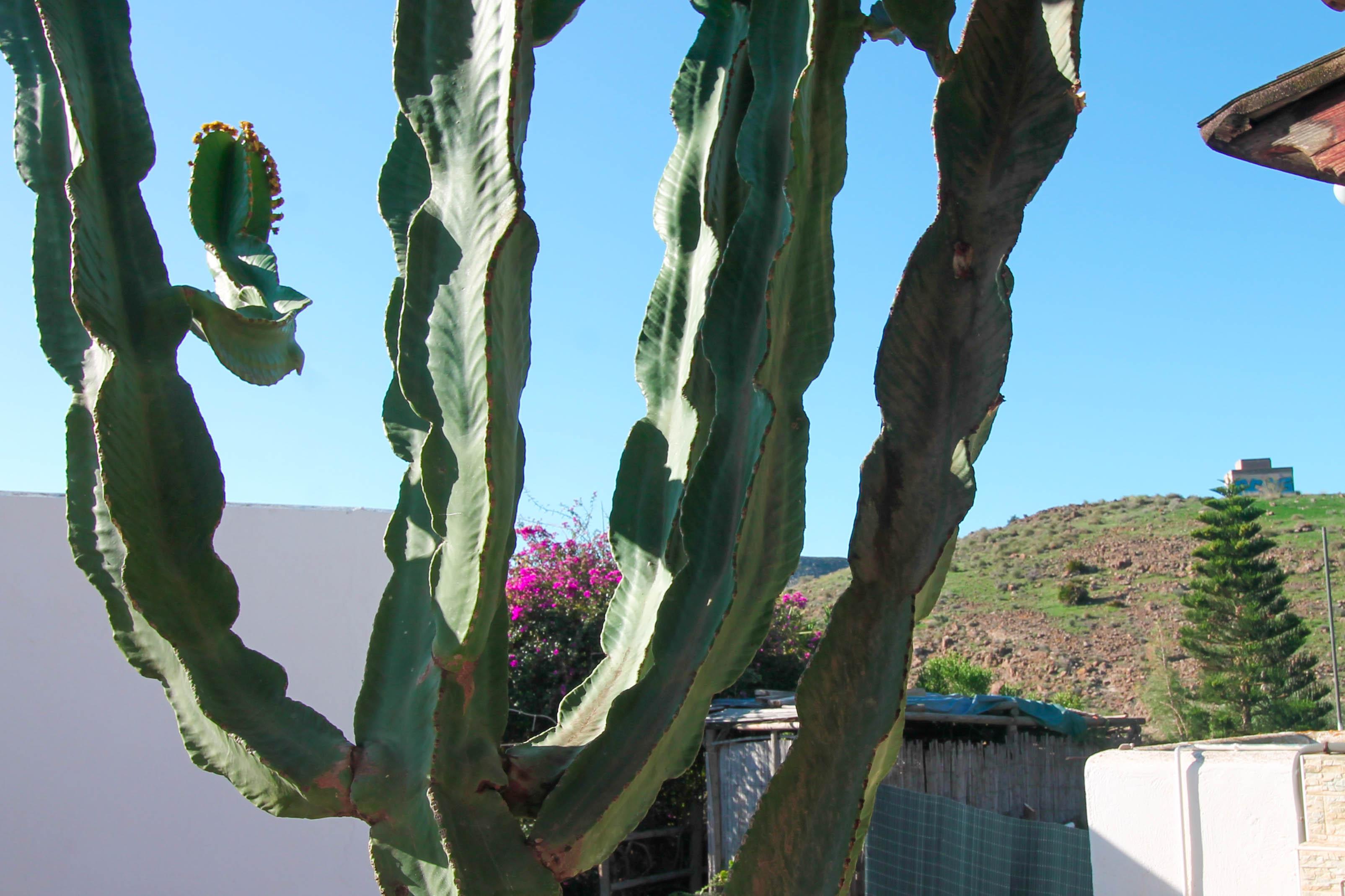 Casa tradicional en Las Negras