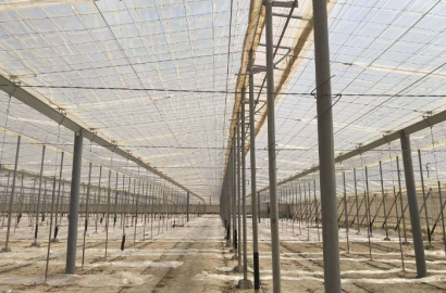 Finca Invernada en Fernán Pérez